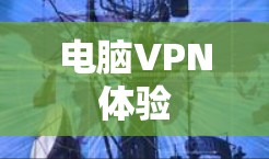电脑VPN体验