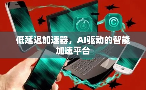 低延迟加速器,AI驱动的智能加速平台
