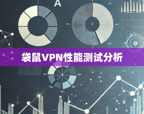袋鼠VPN性能测试分析 袋鼠VPN性能测试分析
