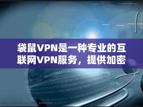 袋鼠VPN是一种专业的互联网VPN服务,提供加密传输,支持多设备连接,用户可以通过以下步骤使用
