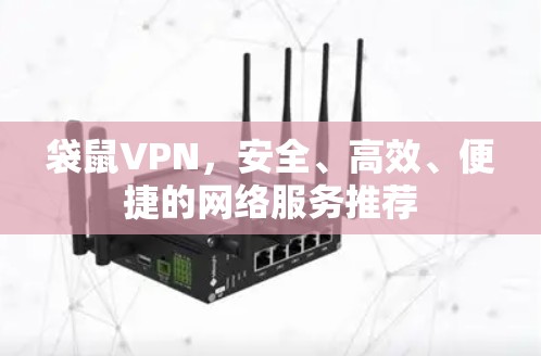 袋鼠VPN,安全、高效、便捷的网络服务推荐