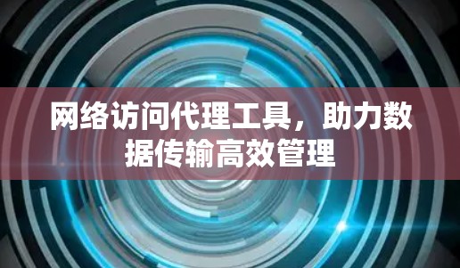 网络访问代理工具,助力数据传输高效管理