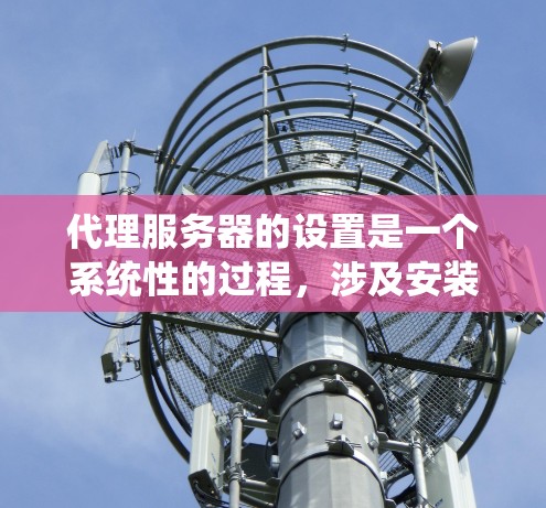 代理服务器的设置是一个系统性的过程，涉及安装、配置、监控和管理多个步骤。以下是一个详细的步骤指南，帮助您顺利完成代理服务器的设置