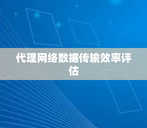 代理网络数据传输效率评估