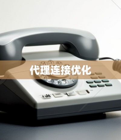 代理连接优化