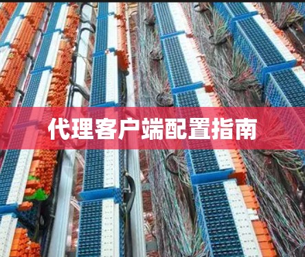 代理客户端配置指南