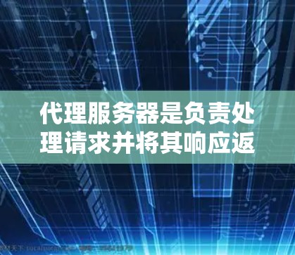 代理服务器是负责处理请求并将其响应返回给本地服务器的中间服务器。以下是对代理服务器资源的详细描述