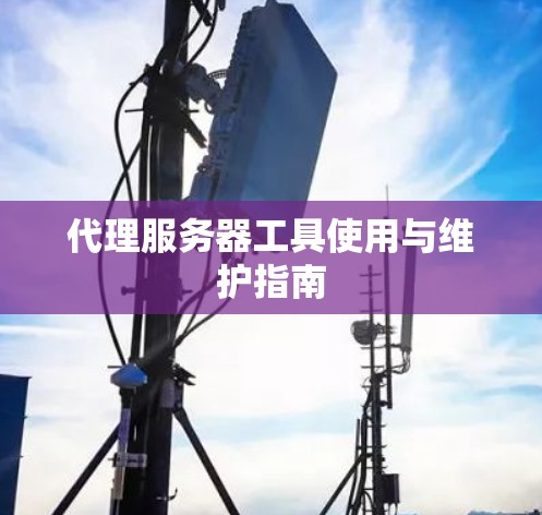 代理服务器工具使用与维护指南