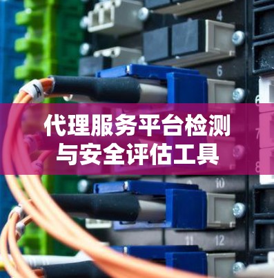 代理服务平台检测与安全评估工具