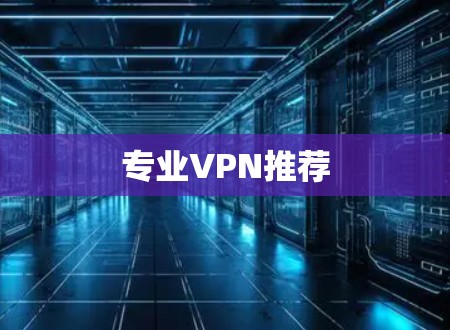 专业VPN推荐