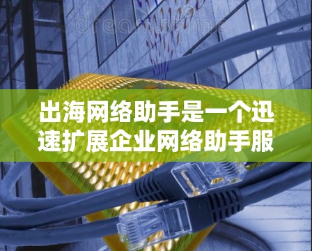 出海网络助手是一个迅速扩展企业网络助手服务的平台，旨在帮助企业在国际市场上实现便捷和高效的服务。以下是针对该平台的详细分析