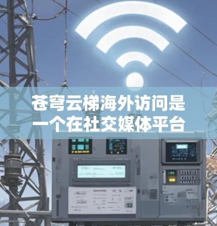 苍穹云梯海外访问是一个在社交媒体平台中用于推广内容或算法的术语,具体含义如下