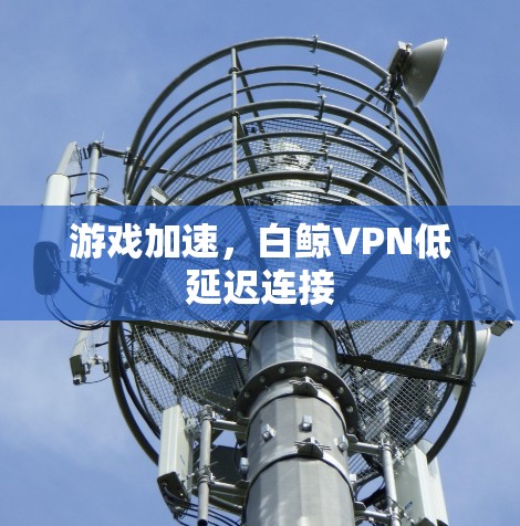 游戏加速,白鲸VPN低延迟连接
