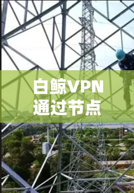 白鲸VPN通过节点测速来评估服务器的性能,确保其在不同条件下的稳定性。以下是详细的步骤和分析