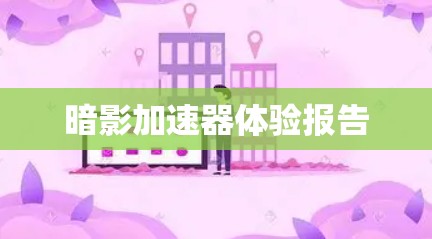 暗影加速器体验报告
