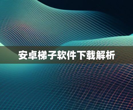 安卓梯子软件下载解析