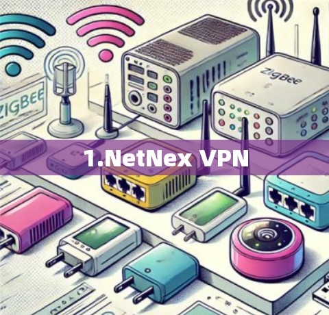 1.NetNex VPN 1.NetNex VPN