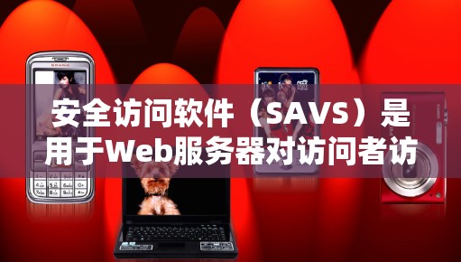 安全访问软件(SAVS)是用于Web服务器对访问者访问控制的自动化工具,旨在确保访问者的权限和数据安全。以下是关于SAVS的详细总结