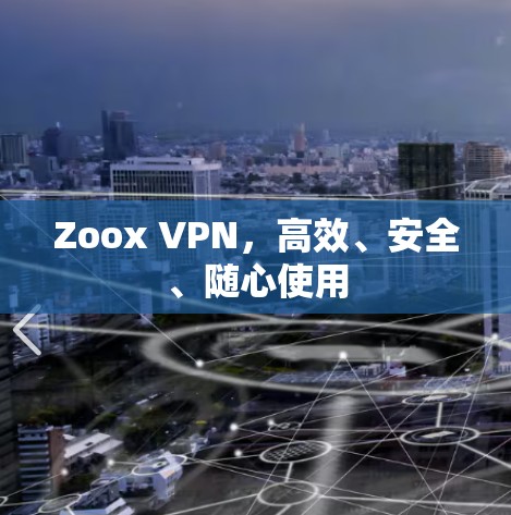 Zoox VPN，高效、安全、随心使用