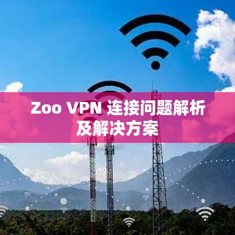Zoo VPN 连接问题解析及解决方案 Zoo VPN 连接问题解析及解决方案