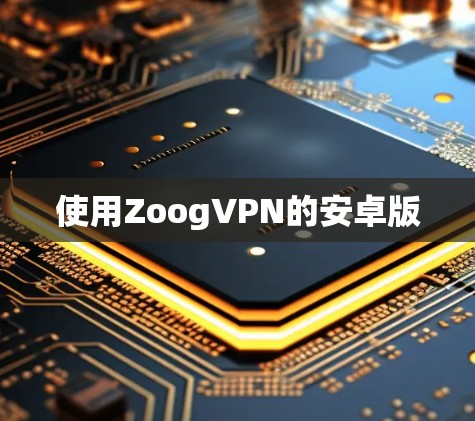 使用ZoogVPN的安卓版 使用ZoogVPN的安卓版