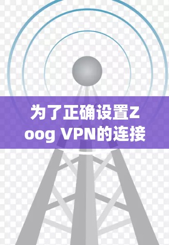 为了正确设置Zoog VPN的连接，按照以下步骤操作
