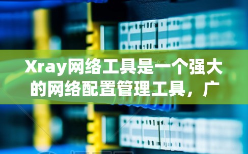 Xray网络工具是一个强大的网络配置管理工具,广泛应用于网络管理员和技术人员中。它可以帮助用户理解网络结构、识别问题,并进行优化和维护。以下是关于Xray网络工具的详细介绍 Xray网络工具是一个强大的网络配置管理工具,广泛应用于网络管理员和技术人员中。它可以帮助用户理解网络结构、识别问题,并进行优化和维护。以下是关于Xray网络工具的详细介绍