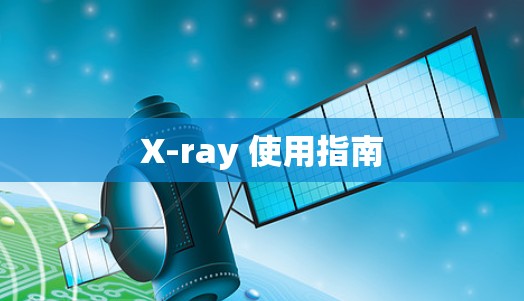 X-ray 使用指南 X-ray 使用指南