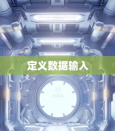 定义数据输入