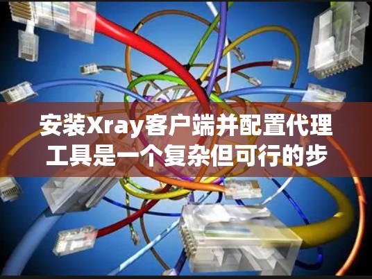 安装Xray客户端并配置代理工具是一个复杂但可行的步骤,以下是一个清晰的指南,帮助您顺利完成这个过程 安装Xray客户端并配置代理工具是一个复杂但可行的步骤,以下是一个清晰的指南,帮助您顺利完成这个过程
