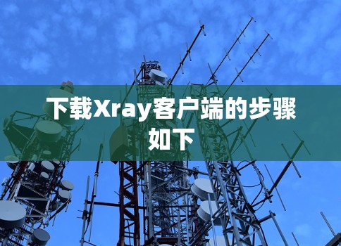下载Xray客户端的步骤如下 下载Xray客户端的步骤如下