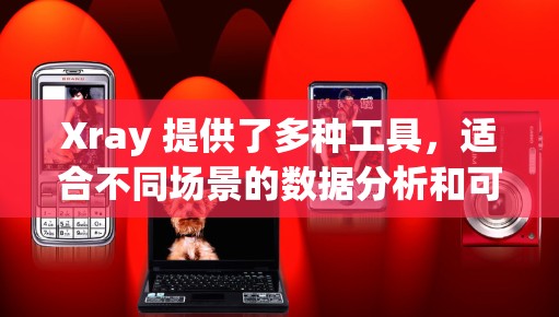 Xray 提供了多种工具,适合不同场景的数据分析和可视化需求。以下是一些推荐 Xray 提供了多种工具,适合不同场景的数据分析和可视化需求。以下是一些推荐