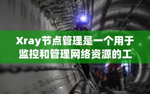 Xray节点管理是一个用于监控和管理网络资源的工具,帮助你确保网络设备正常运行并确保数据传输的稳定性。以下是对Xray节点管理的详细指南 Xray节点管理是一个用于监控和管理网络资源的工具,帮助你确保网络设备正常运行并确保数据传输的稳定性。以下是对Xray节点管理的详细指南
