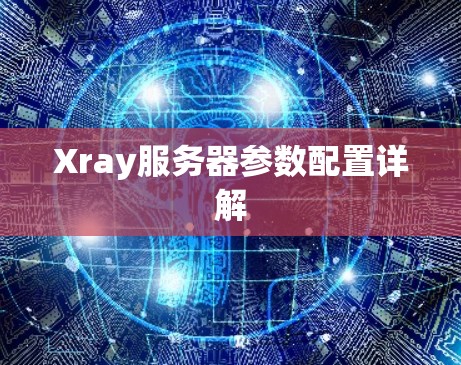Xray服务器参数配置详解 Xray服务器参数配置详解