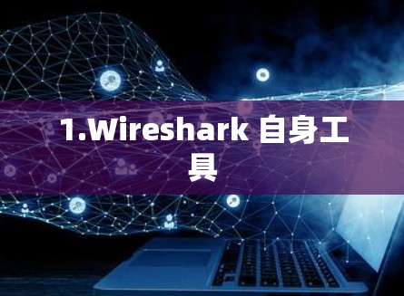 1.Wireshark 自身工具