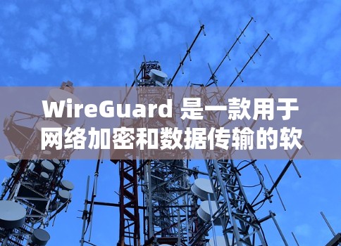 WireGuard 是一款用于网络加密和数据传输的软件,主要适用于 sensitive 信息和数据的传输。以下是详细的使用说明 WireGuard 是一款用于网络加密和数据传输的软件,主要适用于 sensitive 信息和数据的传输。以下是详细的使用说明