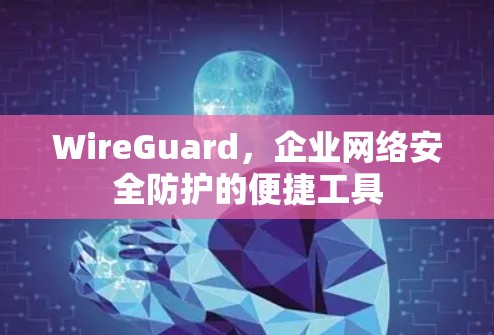 WireGuard，企业网络安全防护的便捷工具