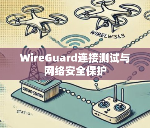 WireGuard连接测试与网络安全保护 WireGuard连接测试与网络安全保护