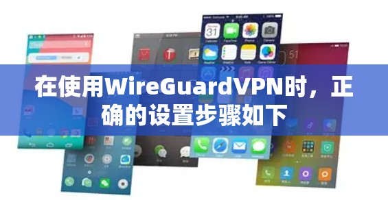 在使用WireGuardVPN时,正确的设置步骤如下 在使用WireGuardVPN时,正确的设置步骤如下