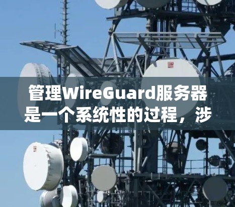 管理WireGuard服务器是一个系统性的过程,涉及安装、配置、管理、监控和安全检查。以下是详细的步骤指南 管理WireGuard服务器是一个系统性的过程,涉及安装、配置、管理、监控和安全检查。以下是详细的步骤指南