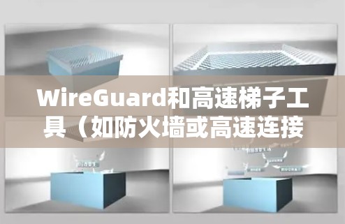 WireGuard和高速梯子工具(如防火墙或高速连接设备)是两个不同的网络工具,各自有不同的功能和用途。以下是对它们的详细比较 WireGuard和高速梯子工具(如防火墙或高速连接设备)是两个不同的网络工具,各自有不同的功能和用途。以下是对它们的详细比较