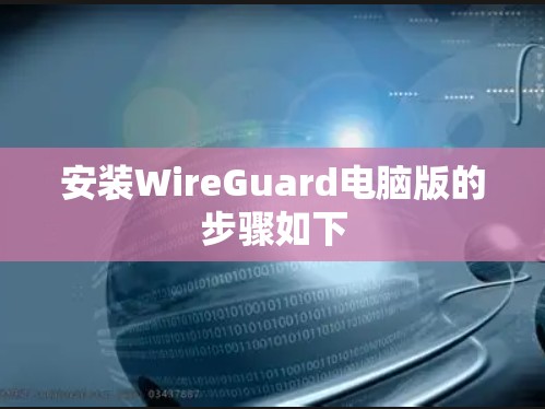 安装WireGuard电脑版的步骤如下 安装WireGuard电脑版的步骤如下
