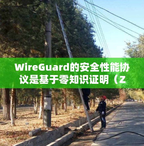 WireGuard的安全性能协议是基于零知识证明(ZK-SNARKs)的,它通过分布式架构和高效协议来确保Web应用的安全性和可靠性。以下是 WireGuard的安全性能协议特点的详细介绍 WireGuard的安全性能协议是基于零知识证明(ZK-SNARKs)的,它通过分布式架构和高效协议来确保Web应用的安全性和可靠性。以下是 WireGuard的安全性能协议特点的详细介绍