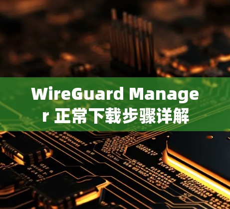 WireGuard Manager 正常下载步骤详解 WireGuard Manager 正常下载步骤详解