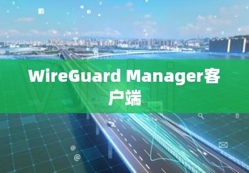 WireGuard Manager客户端 WireGuard Manager客户端