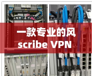 一款专业的风scribe VPN 为你的网络加密护航 一款专业的风scribe VPN 为你的网络加密护航