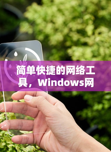 简单快捷的网络工具,Windows网络管理器 简单快捷的网络工具,Windows网络管理器