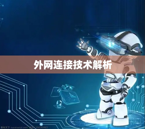 外网连接技术解析 外网连接技术解析