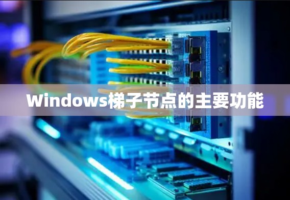 Windows梯子节点的主要功能 Windows梯子节点的主要功能