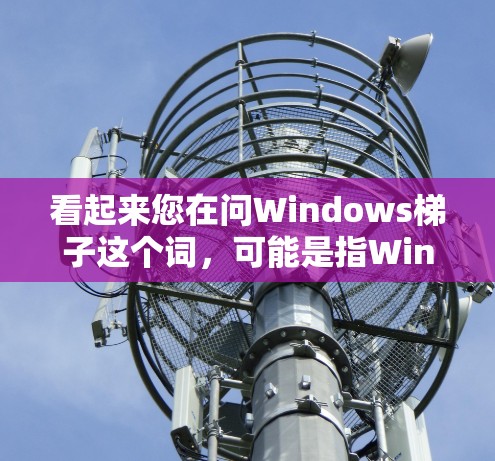 看起来您在问Windows梯子这个词，可能是指Windows中的某个组件、工具包或功能。以下是一些可能的解释